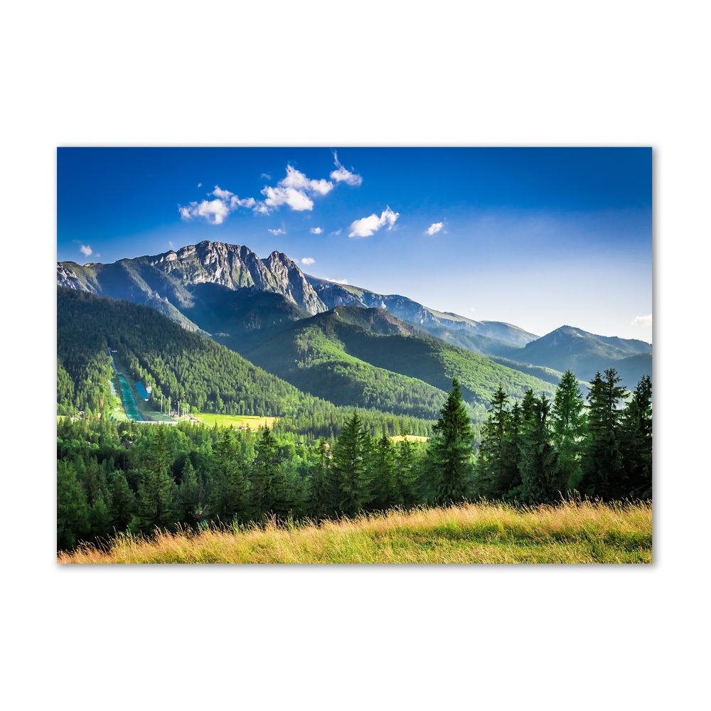 Tableau sur verre acrylique Saut à ski dans les Tatras