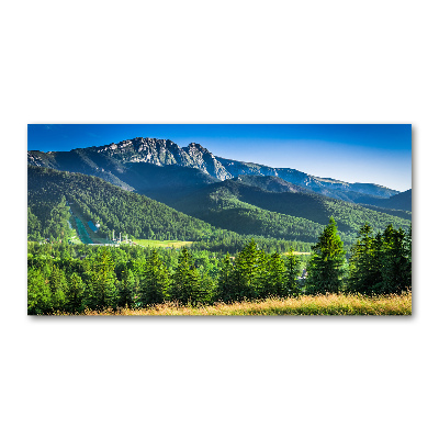 Tableau acrylique Saut à ski dans les Tatras