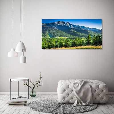 Tableau acrylique Saut à ski dans les Tatras