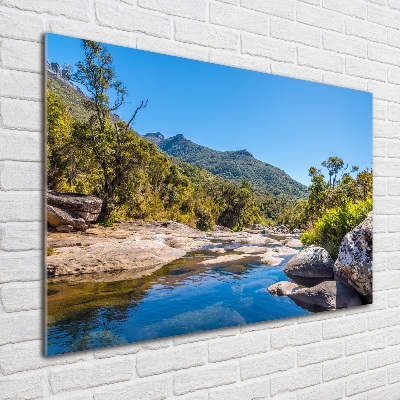 Tableau verre acrylique Rivière dans la forêt