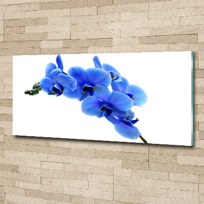 Tableau sur verre acrylique Orchidée bleue