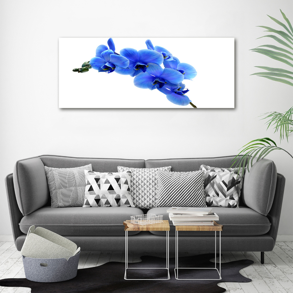 Tableau sur verre acrylique Orchidée bleue