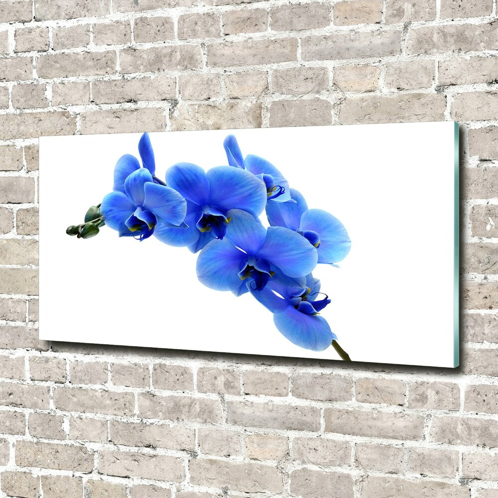 Tableau sur verre acrylique Orchidée bleue