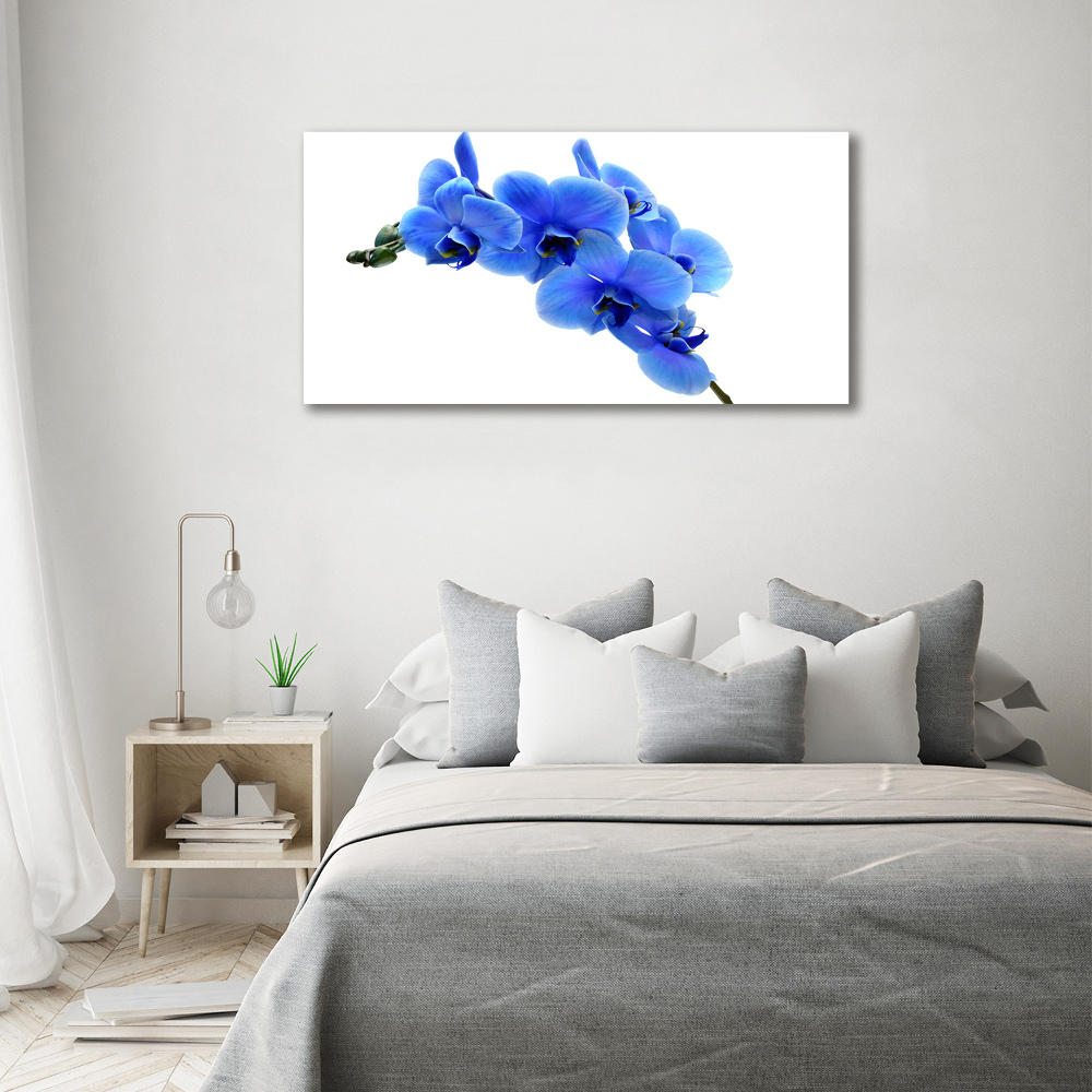 Tableau sur verre acrylique Orchidée bleue