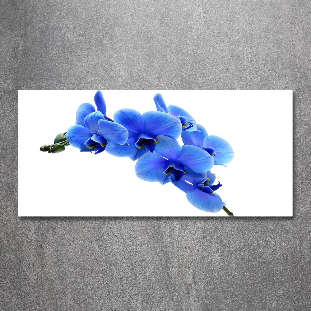 Tableau sur verre acrylique Orchidée bleue