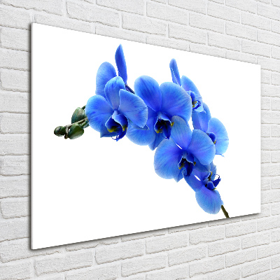 Tableau sur verre acrylique Orchidée bleue