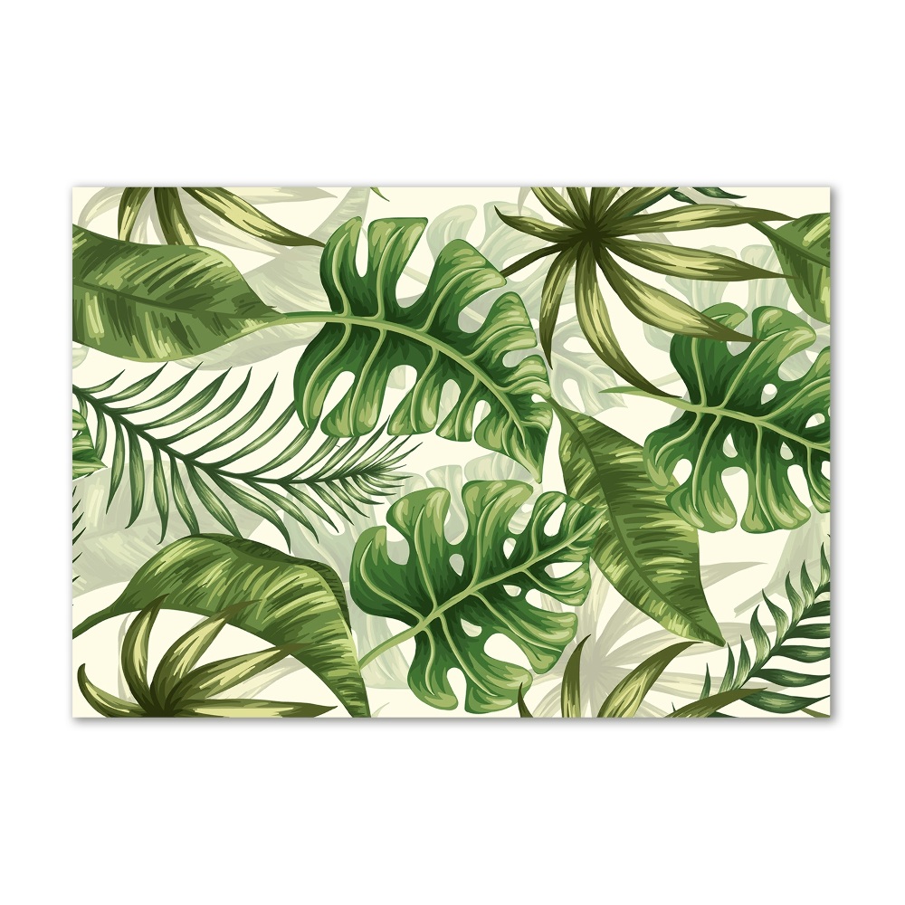 Tableau verre acrylique Feuilles tropicales