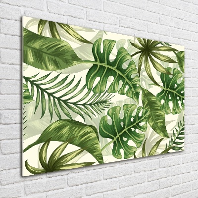 Tableau verre acrylique Feuilles tropicales