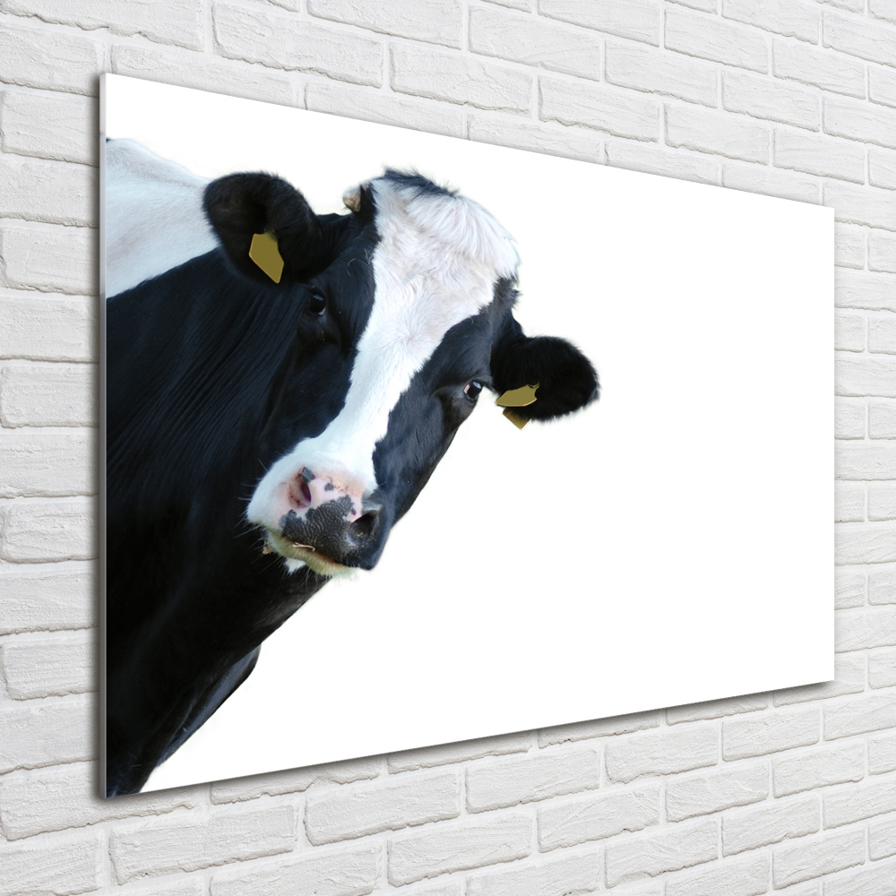 Tableau acrylique Vache