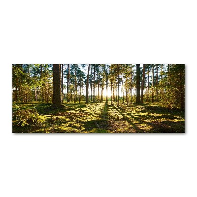 Acrylique tableau Forêt de pins