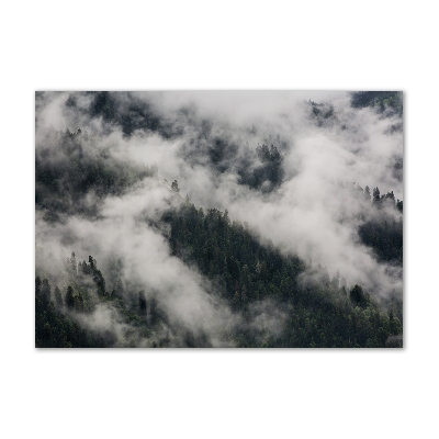 Tableau en acrylique Brouillard sur la forêt