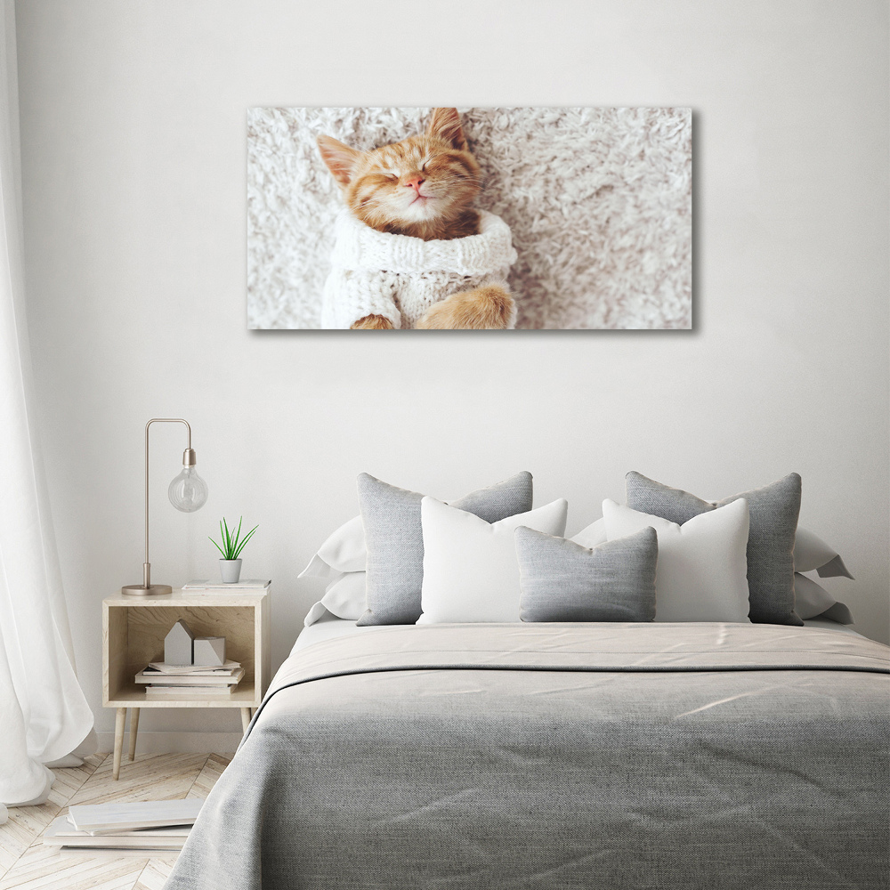 Tableau verre acrylique Chat en pull-over