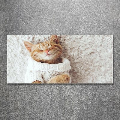 Tableau verre acrylique Chat en pull-over