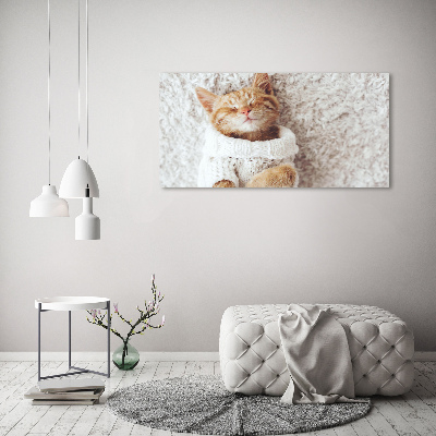 Tableau verre acrylique Chat en pull-over