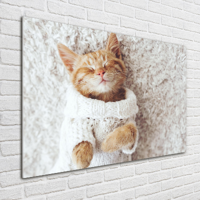 Tableau verre acrylique Chat en pull-over