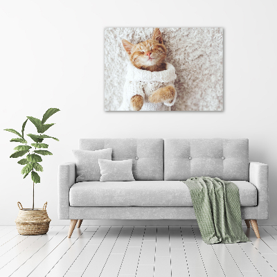 Tableau verre acrylique Chat en pull-over