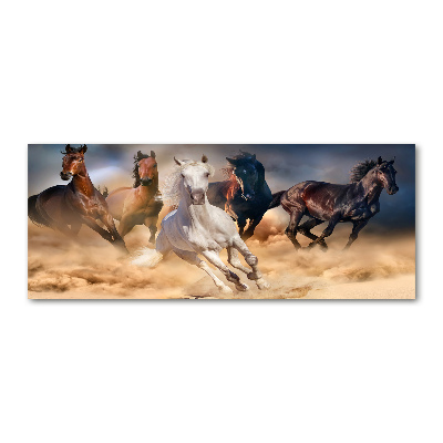 Tableau verre acrylique Chevaux de marche