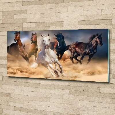 Tableau verre acrylique Chevaux de marche