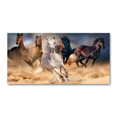 Tableau verre acrylique Chevaux de marche