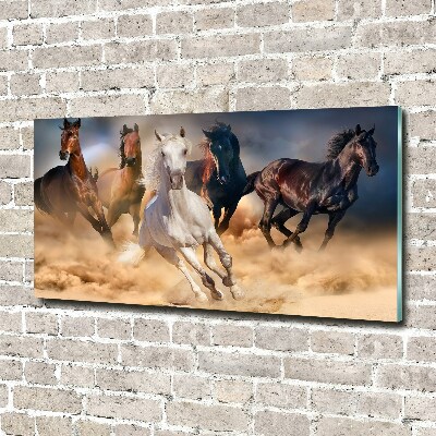 Tableau verre acrylique Chevaux de marche