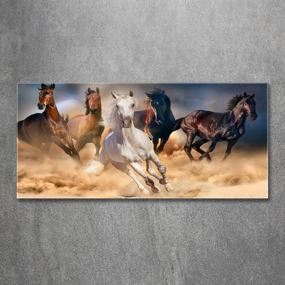 Tableau verre acrylique Chevaux de marche