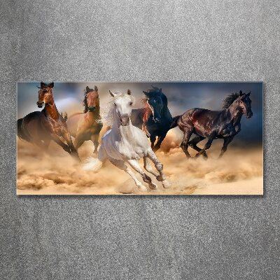 Tableau verre acrylique Chevaux de marche