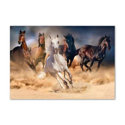 Tableau verre acrylique Chevaux de marche