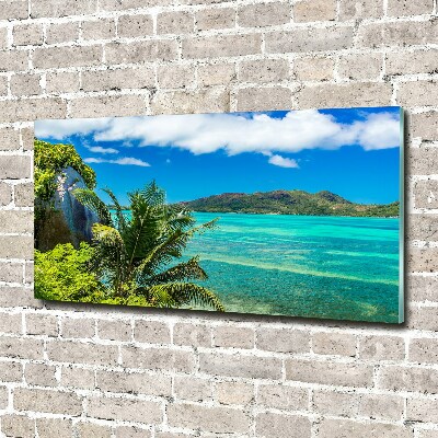 Tableau en acrylique Côte des Seychelles