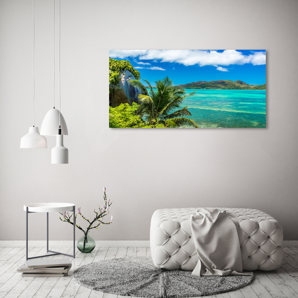 Tableau en acrylique Côte des Seychelles