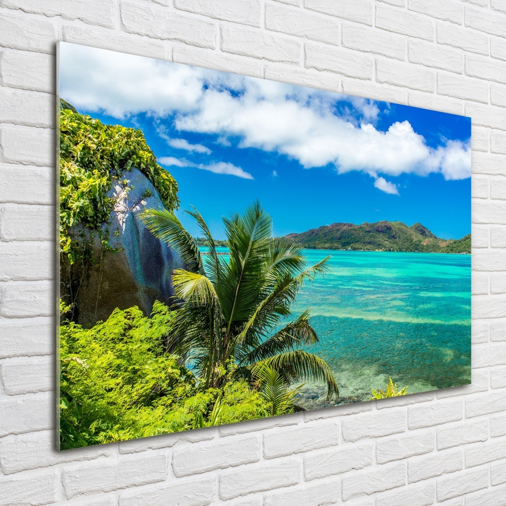 Tableau en acrylique Côte des Seychelles