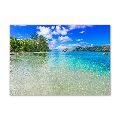 Tableau sur verre acrylique Plage aux Seychelles