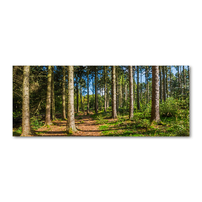 Tableau en acrylique Panorama d'une forêt