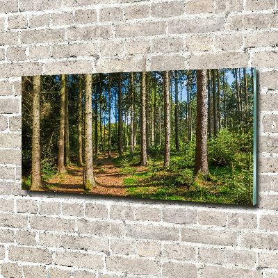 Tableau en acrylique Panorama d'une forêt