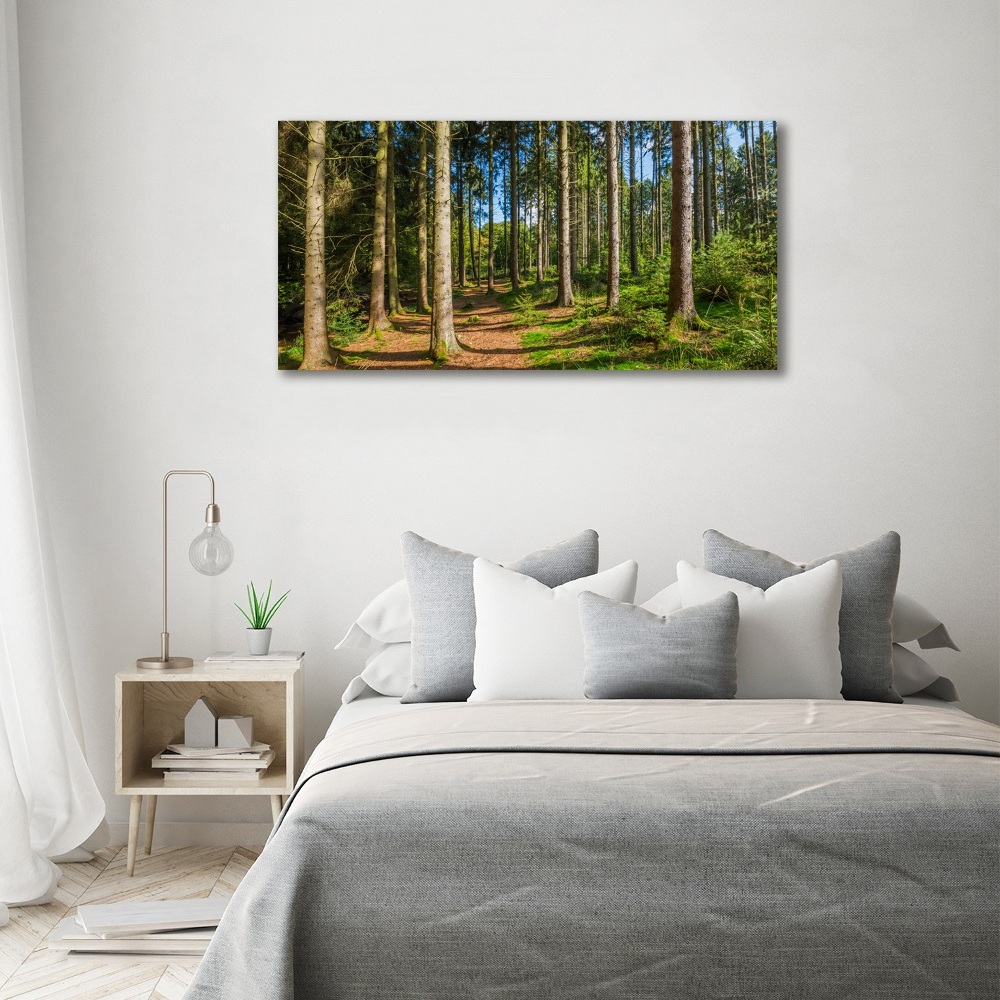 Tableau en acrylique Panorama d'une forêt