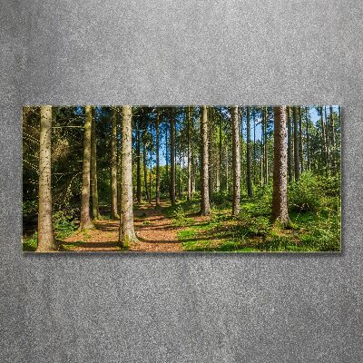 Tableau en acrylique Panorama d'une forêt