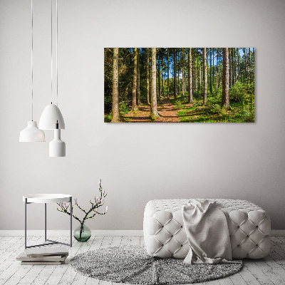 Tableau en acrylique Panorama d'une forêt