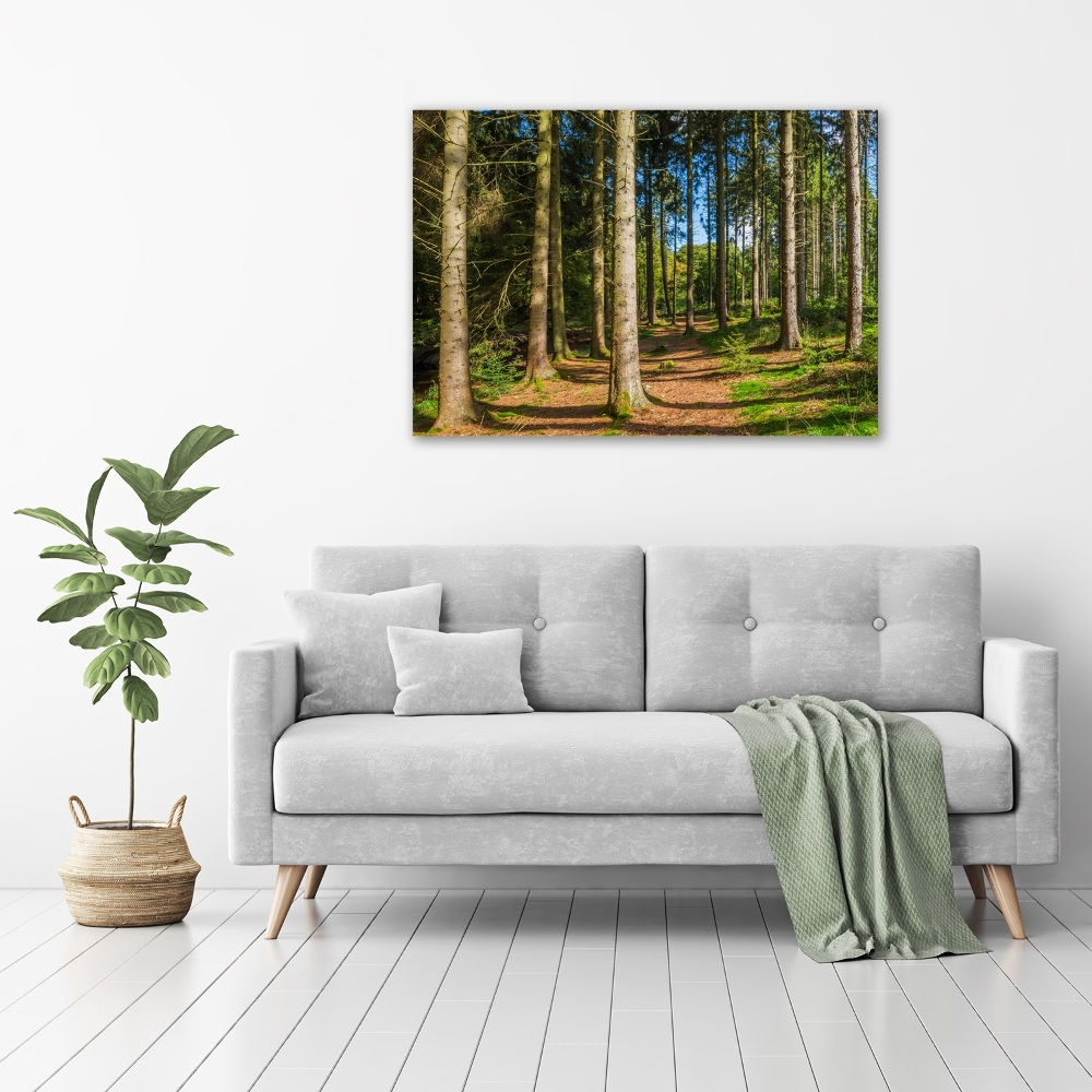 Tableau en acrylique Panorama d'une forêt