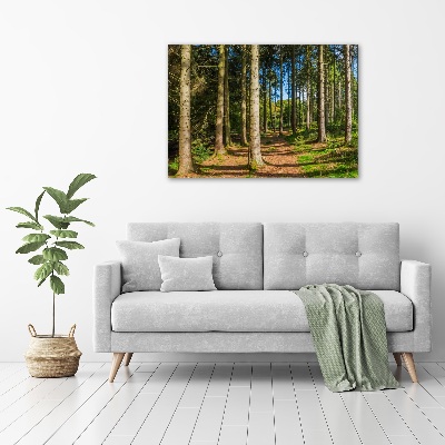 Tableau en acrylique Panorama d'une forêt