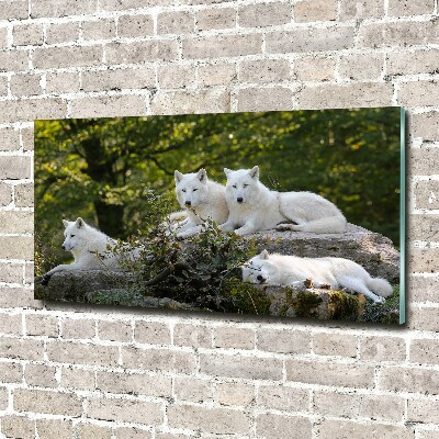 Tableau sur verre acrylique Rocher du loup blanc