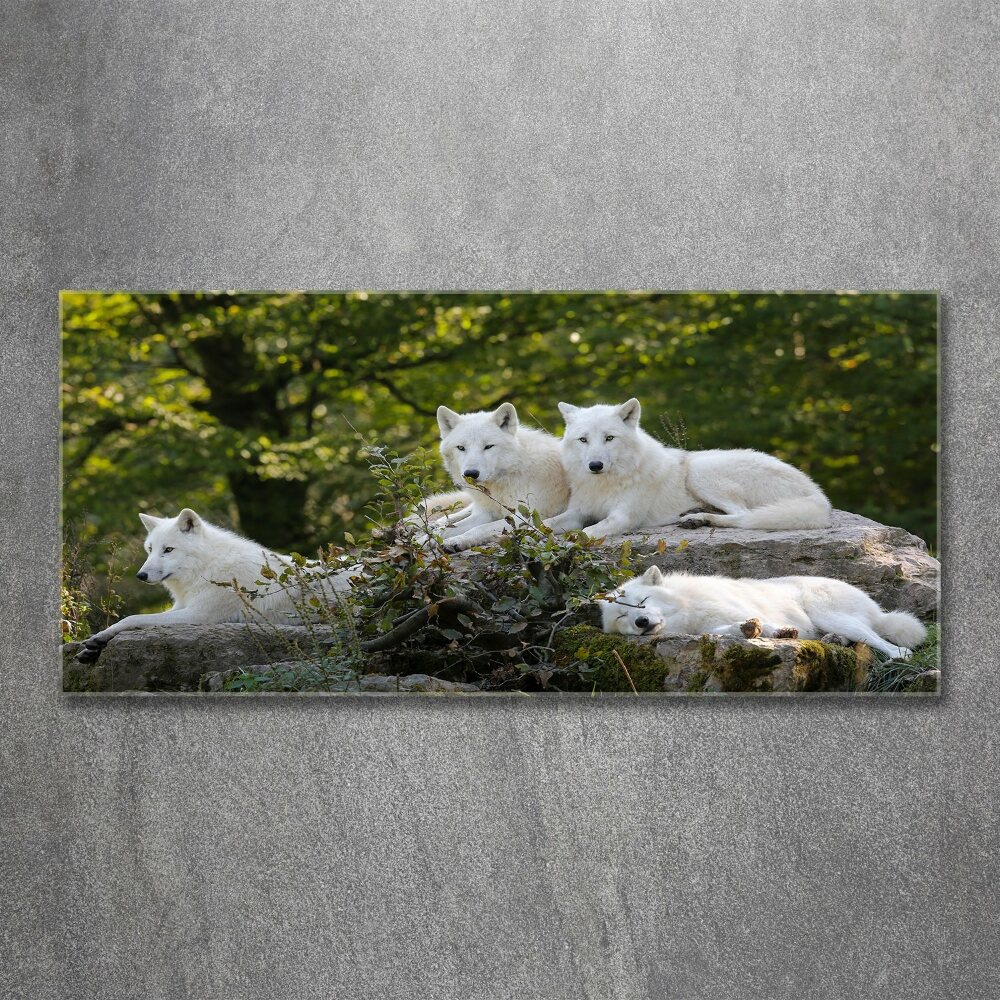 Tableau sur verre acrylique Rocher du loup blanc