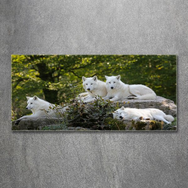 Tableau sur verre acrylique Rocher du loup blanc