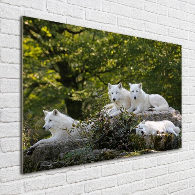 Tableau sur verre acrylique Rocher du loup blanc