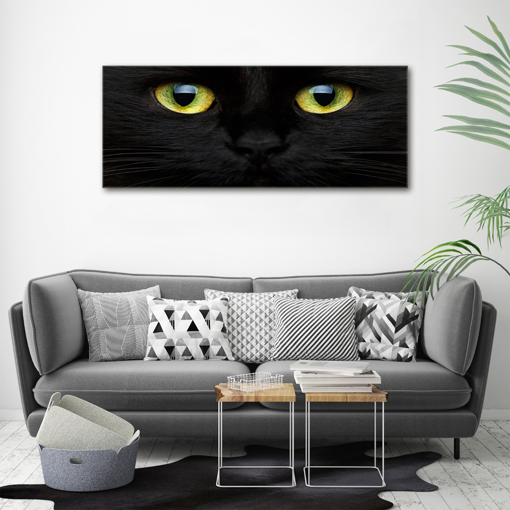 Tableau sur verre acrylique Yeux de chat