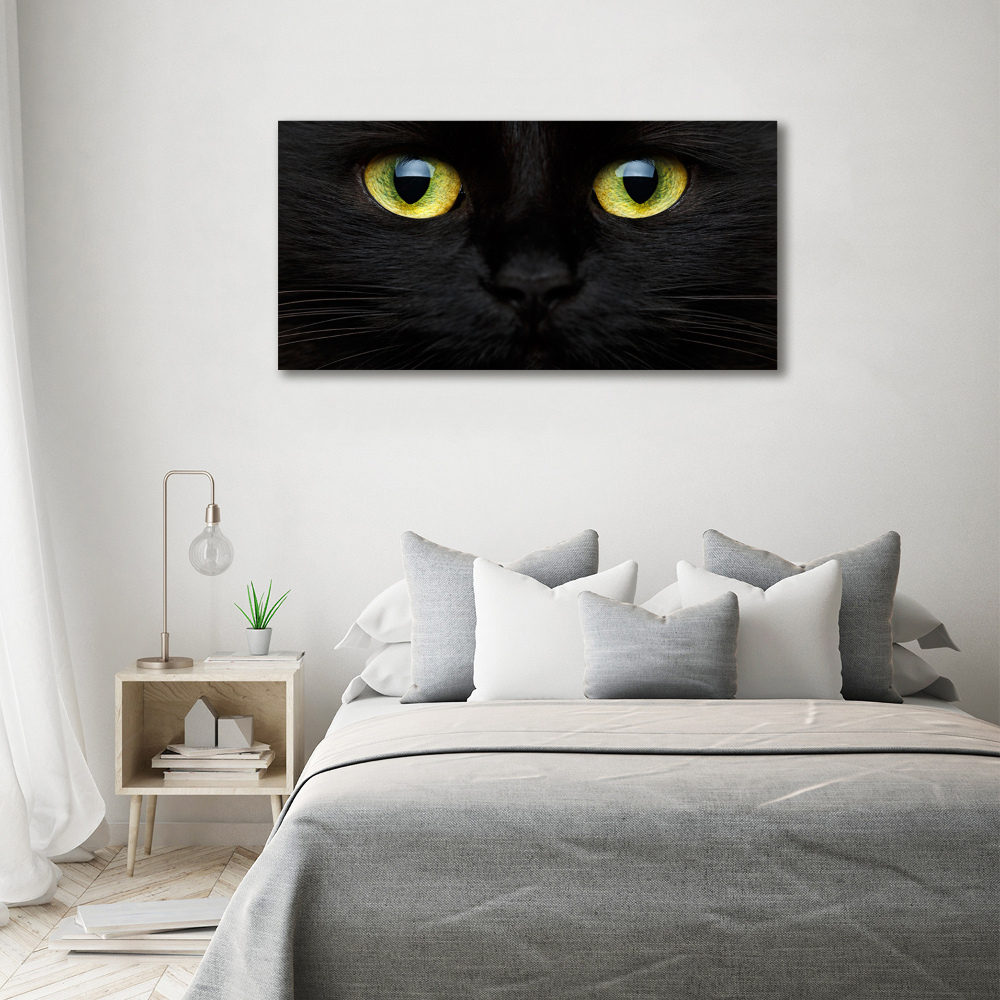 Tableau sur verre acrylique Yeux de chat