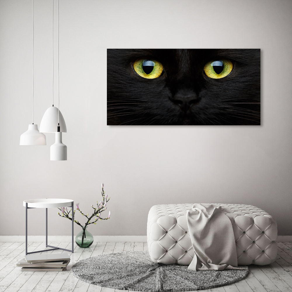 Tableau sur verre acrylique Yeux de chat