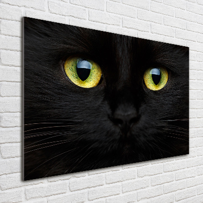 Tableau sur verre acrylique Yeux de chat