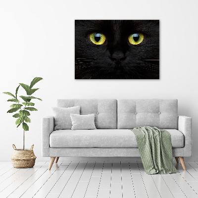 Tableau sur verre acrylique Yeux de chat