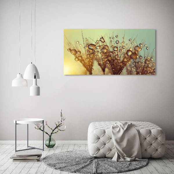 Tableau en acrylique Graine de puffin gouttes