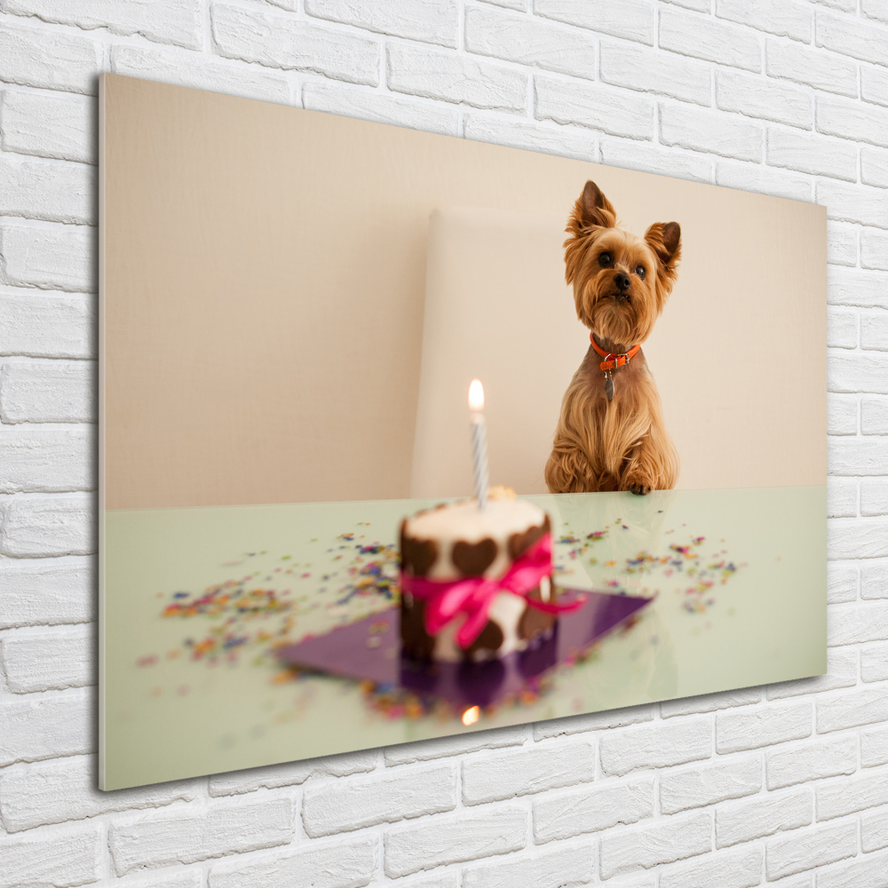 Tableau acrylique Chien avec un gâteau