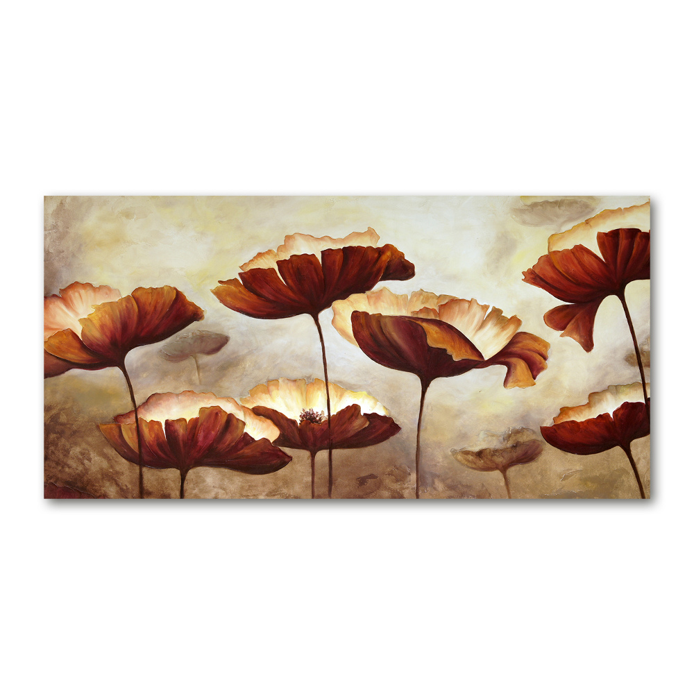 Tableau verre acrylique Coquelicots rouges